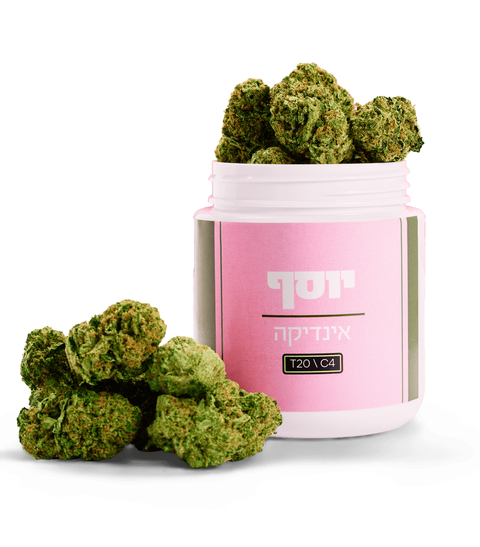 יוסף