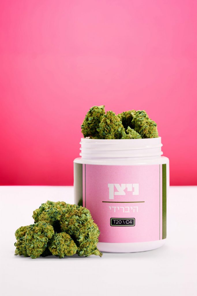 Untitled-Session5320_(2)